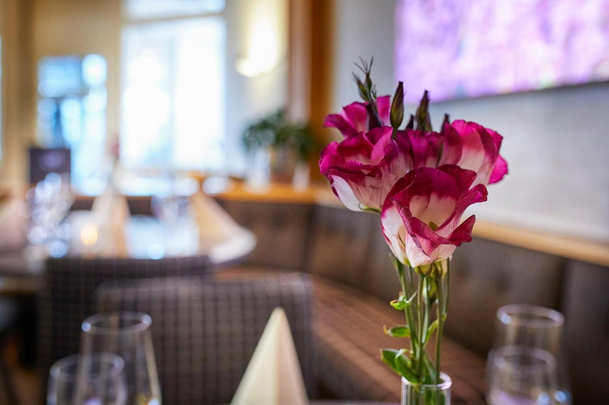 Hotel Pergola Im Goebels Hotel Rodenberg Rotenburg an der Fulda Zewnętrze zdjęcie